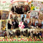 Step Into Spring Collage